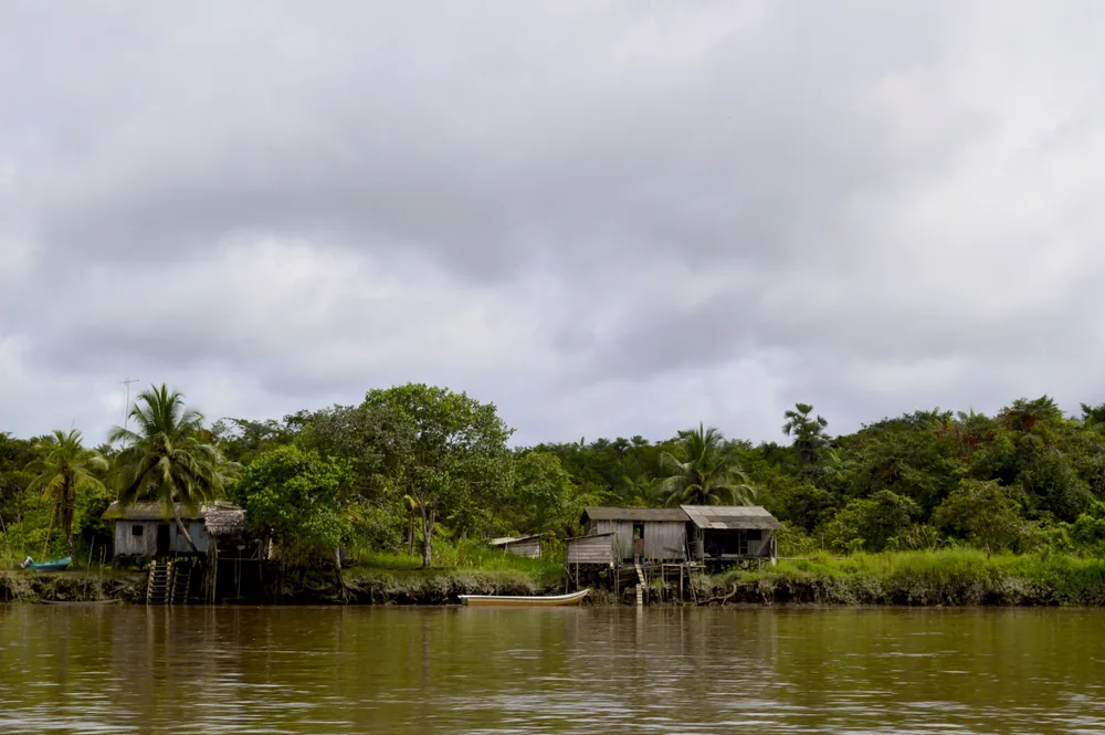Casas palafíticas de madera entre palmas y vegetación densa a la orilla del río