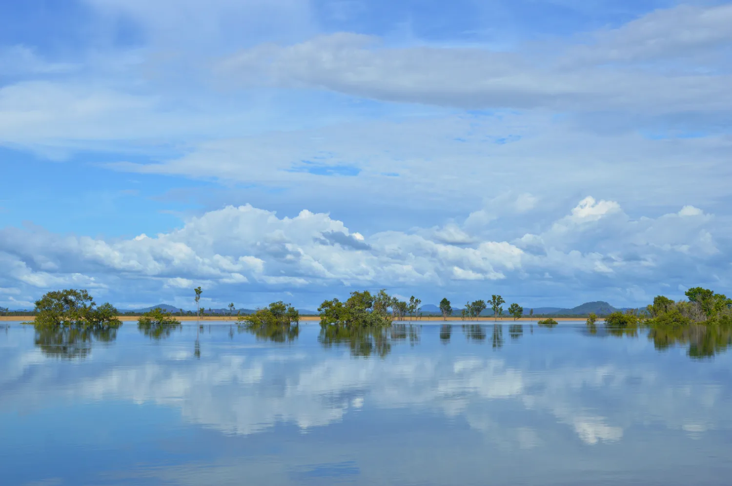 Islotes de árboles y arbustos sobre una llanura inundada se reflejan en el agua tranquila, con colinas lejanas y nubes brillantes